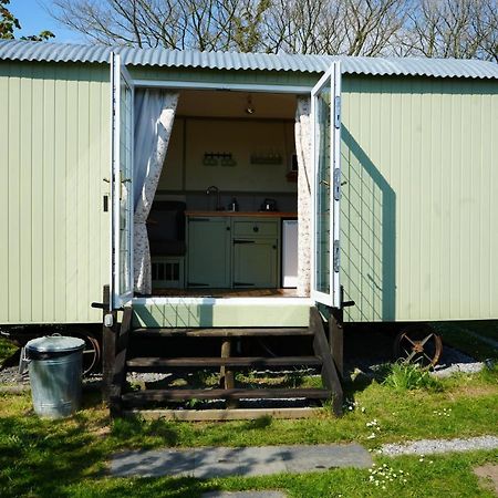 Hillcrest Hut Daire Tenby Dış mekan fotoğraf