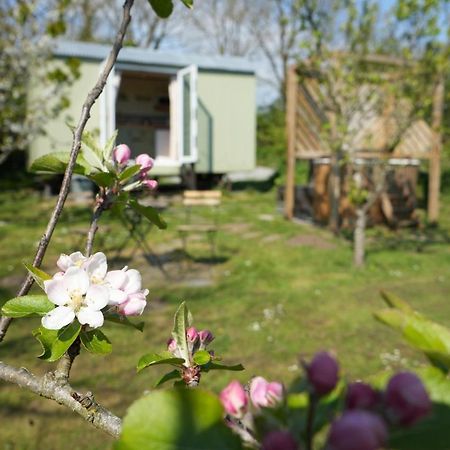 Hillcrest Hut Daire Tenby Dış mekan fotoğraf