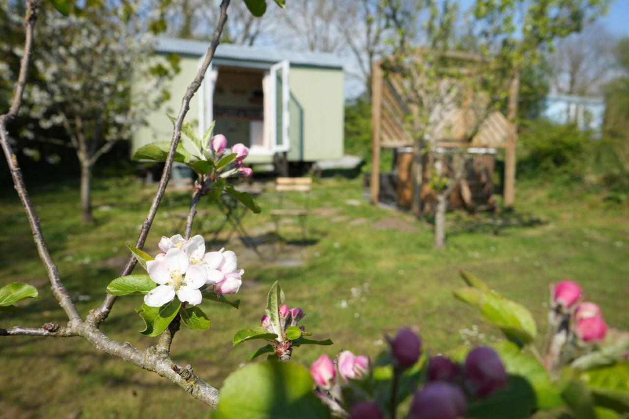 Hillcrest Hut Daire Tenby Dış mekan fotoğraf