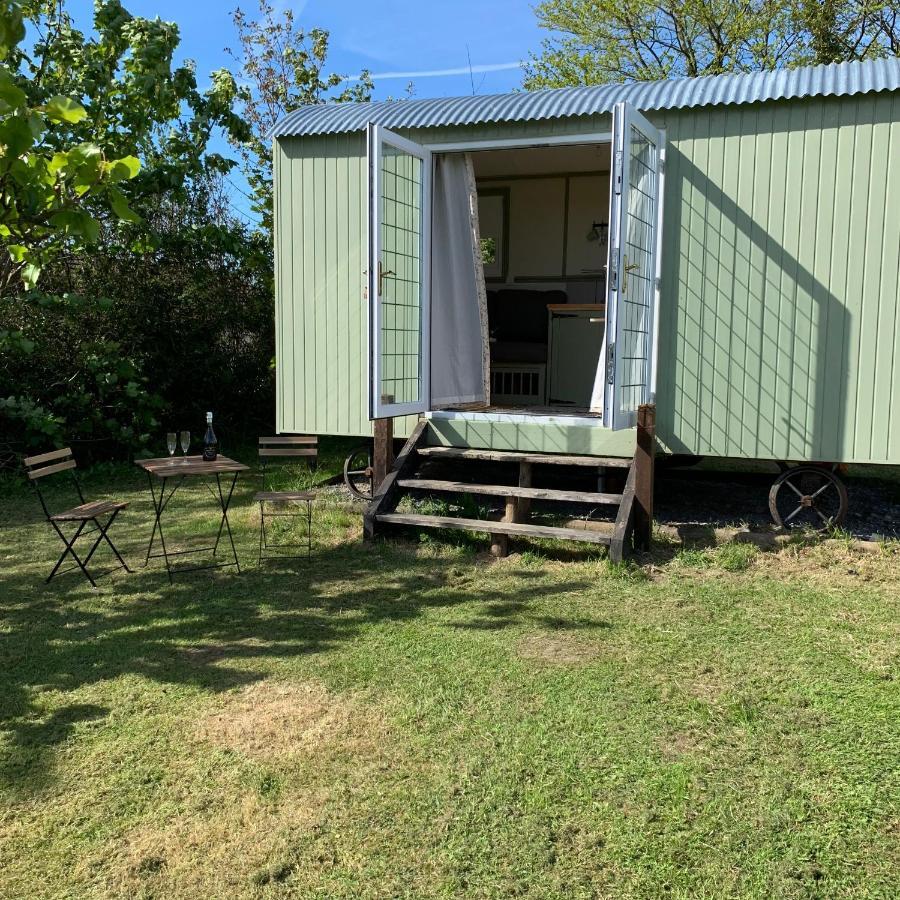 Hillcrest Hut Daire Tenby Dış mekan fotoğraf