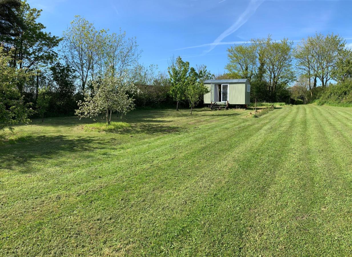 Hillcrest Hut Daire Tenby Dış mekan fotoğraf
