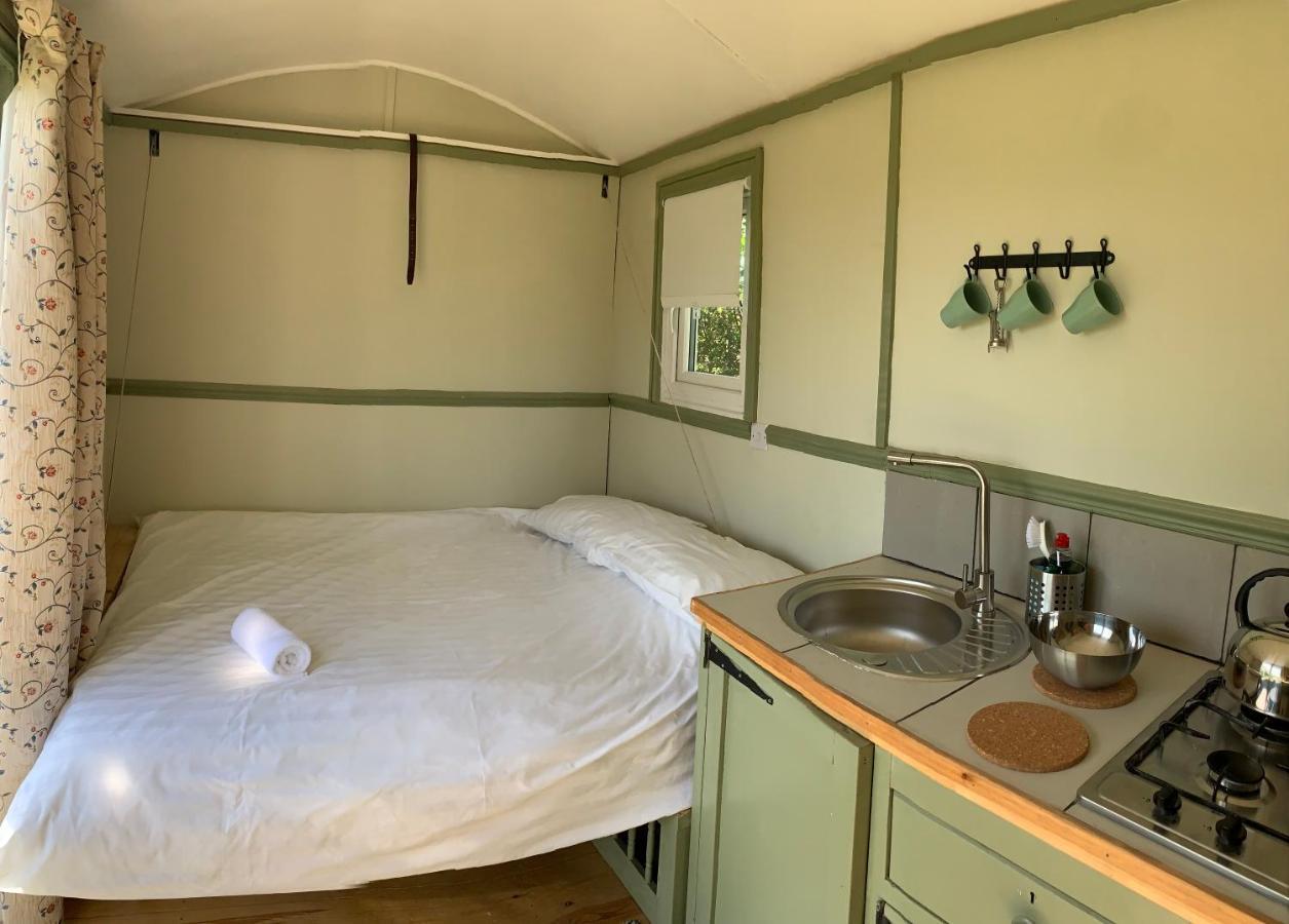 Hillcrest Hut Daire Tenby Dış mekan fotoğraf