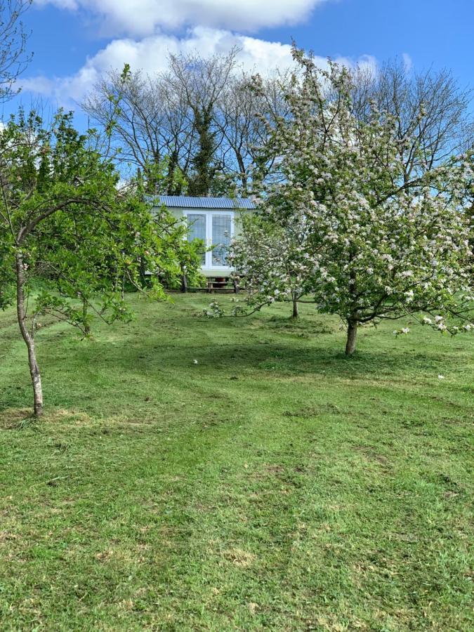 Hillcrest Hut Daire Tenby Dış mekan fotoğraf
