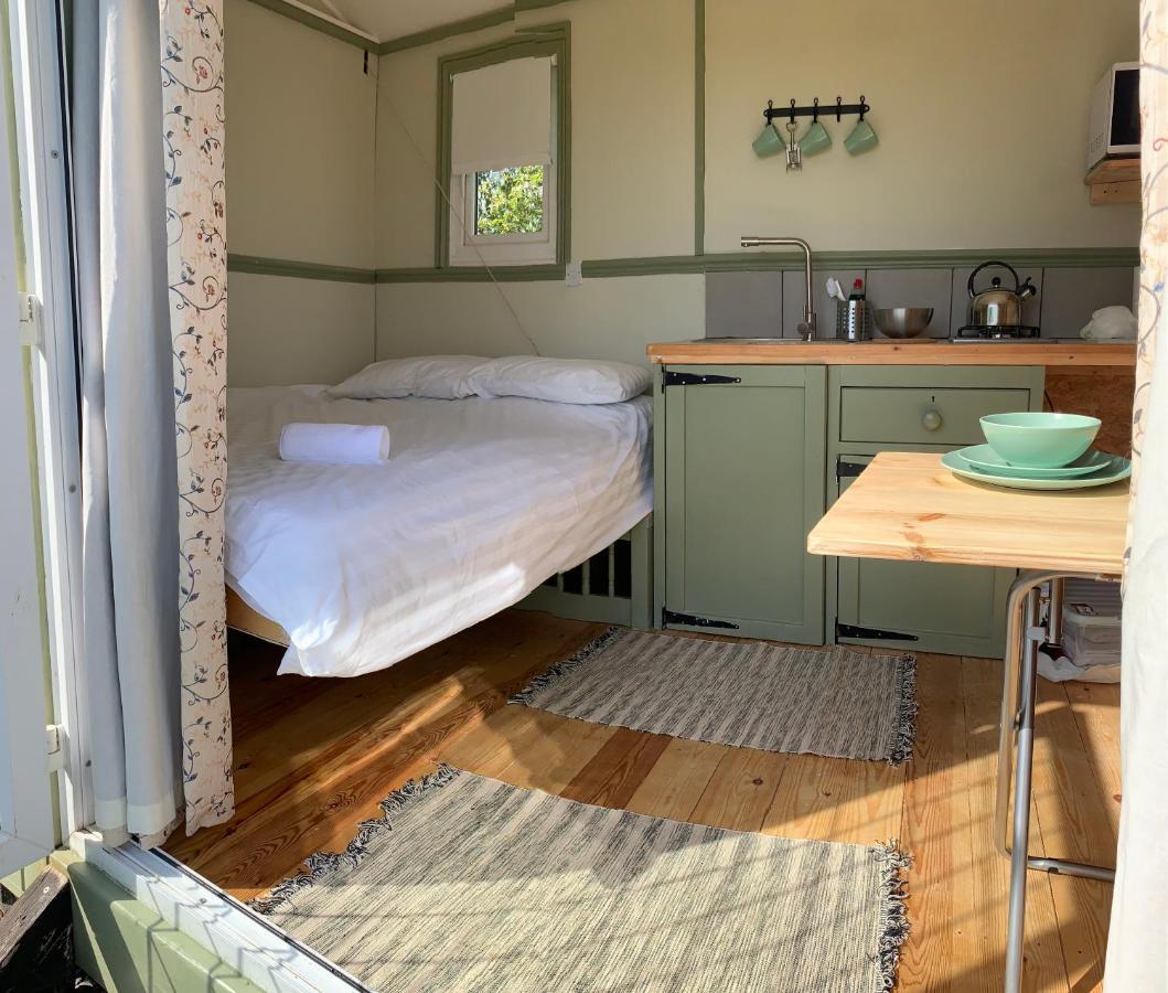 Hillcrest Hut Daire Tenby Dış mekan fotoğraf